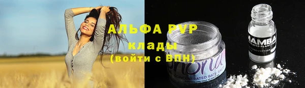 ПСИЛОЦИБИНОВЫЕ ГРИБЫ Заводоуковск