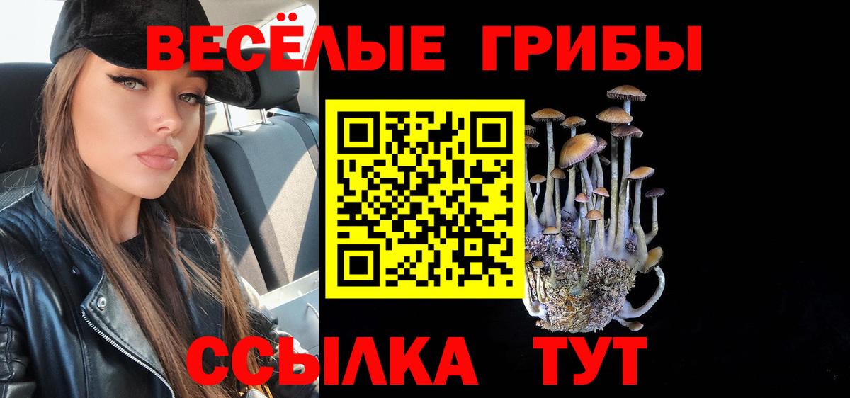 Галлюциногенные грибы Cubensis  Вход с VPN  Миасс  Галлюциногенные грибы мухоморы 